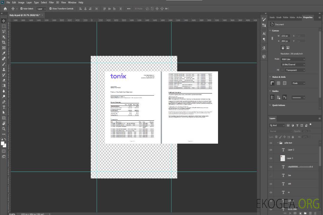 Philippines Tonik Bank Relevé de carte de débit Visa Premium Modèle Word et PDF scr, 2 pages template Philippines Tonik Bank Relevé de carte de débit Visa Premium Modèle Word et PDF scr, 2 pages template
